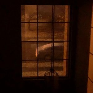 Meet your Posher, Eloisa